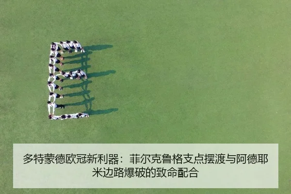 duo-te-meng-de-ou-guan-xin-li-qi-fei-er-ke-lu-ge-zhi-dian-bai-du-yu-a-de-ye-mi-bian-lu-bao-po-de-zhi-ming-pei-he-2-721.jpg
